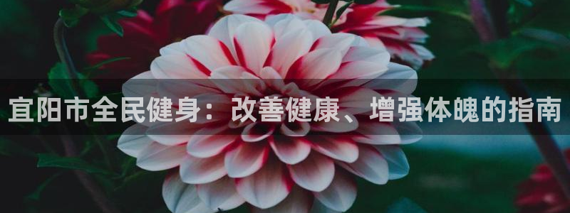 凯时k8官网首页：宜阳市全民健身：改善健康、增强体魄的指
