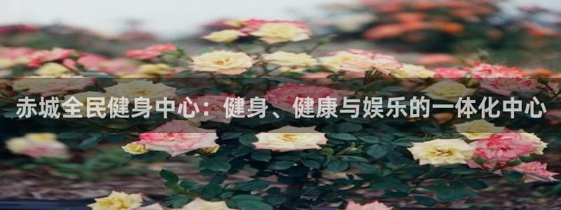 尊龙d88官网登录苹果版下载：赤城全民健身中心：健身、健