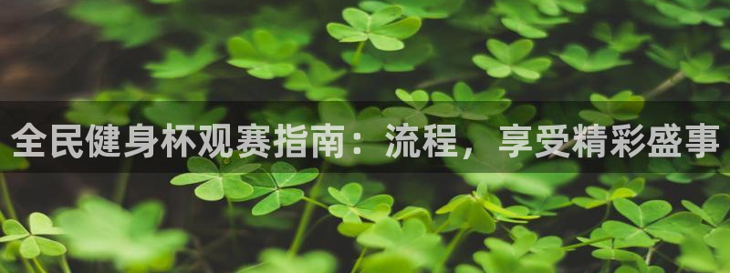 凯时国际平台有人赢吗：全民健身杯观赛指南：流程，享受精彩