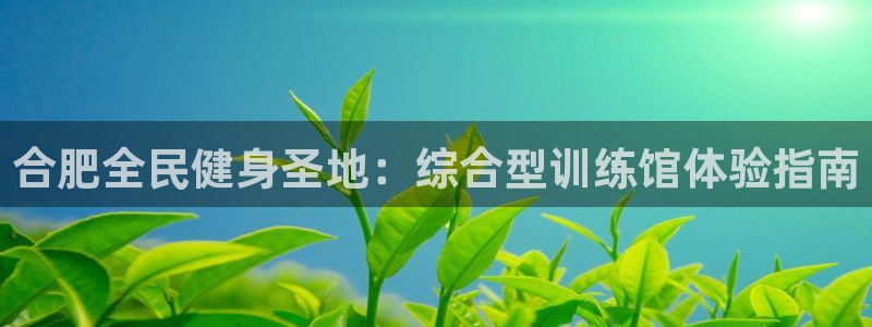 尊龙凯时产品系列：合肥全民健身圣地：综合型训练馆体验指南