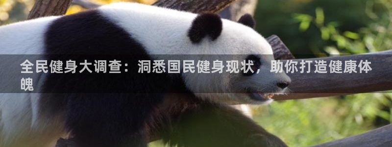 尊龙会ktv价格：全民健身大调查：洞悉国民健身现状，助你打造
