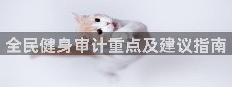 凯时a88：全民健身审计重点及建议指南