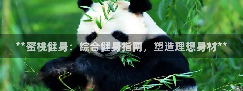 尊龙客服：**蜜桃健身：综合健身指南，塑造理想身材**