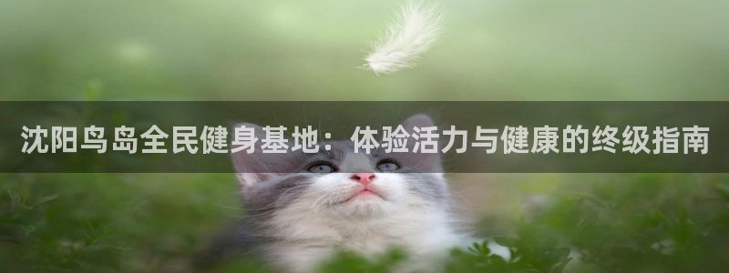 尊龙王t400：沈阳鸟岛全民健身基地：体验活力与健康的终
