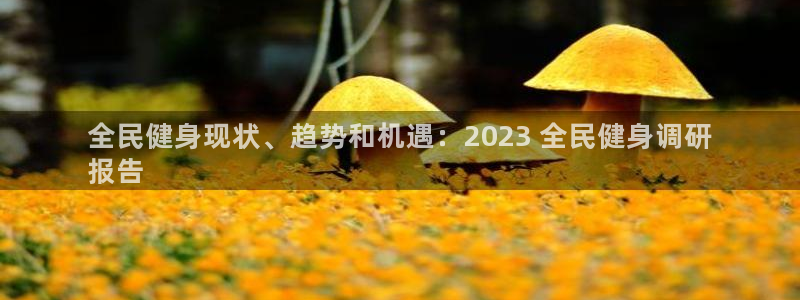 尊龙官网手机版下载：全民健身现状、趋势和机遇：2023 