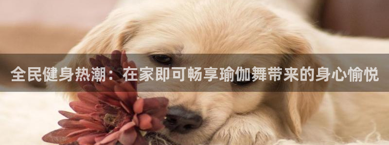 尊龙凯时和九游会哪个平台好一点：全民健身热潮：在家即可畅享瑜