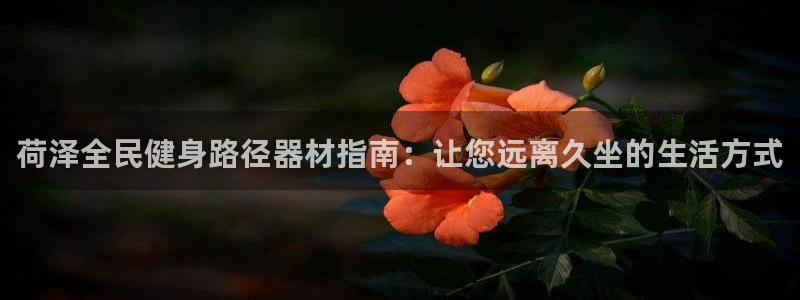 尊龙 10：荷泽全民健身路径器材指南：让您远离久坐的生活