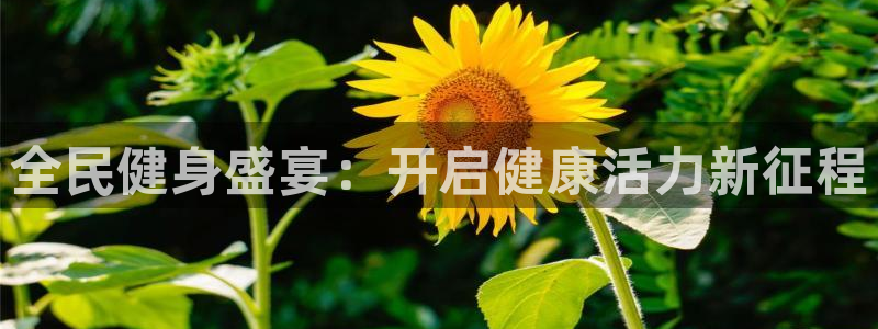 尊龙手机官方客户端下载：全民健身盛宴：开启健康活力新征程