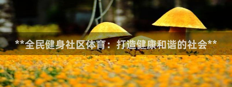 尊龙新版手机app下载：**全民健身社区体育：打造健康和