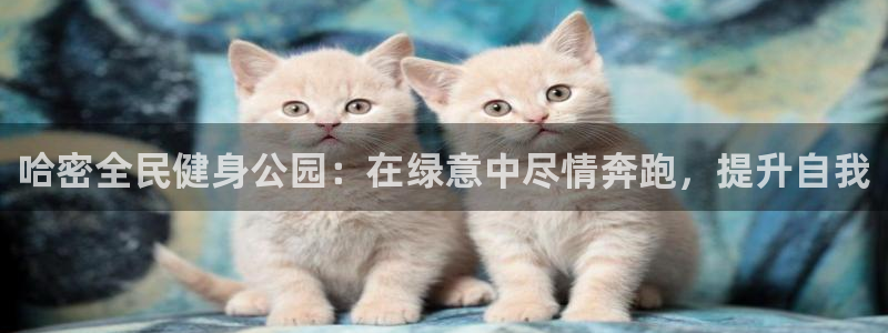 尊龙z6平台：哈密全民健身公园：在绿意中尽情奔跑，提升自