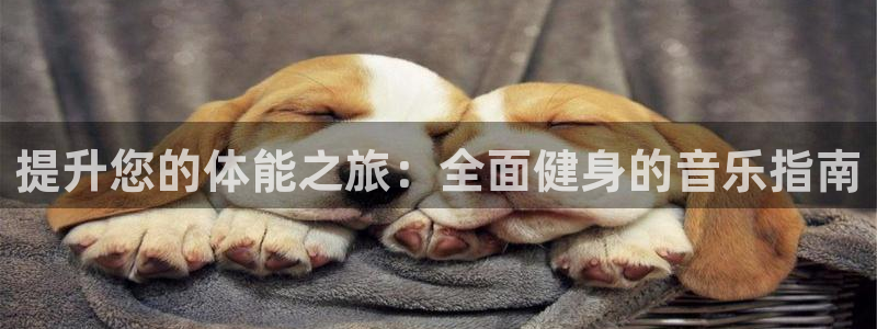 尊龙凯时 人生就是搏 平台：提升您的体能之旅：全面健身的