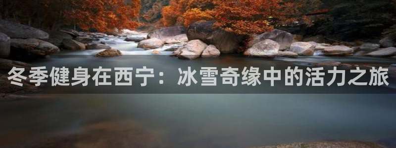 尊龙凯时是哪个国家的：冬季健身在西宁：冰雪奇缘中的活力之