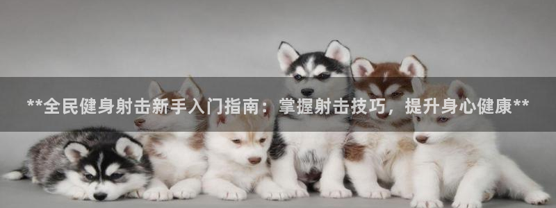 尊龙ag：**全民健身射击新手入门指南：掌握射击技巧，提