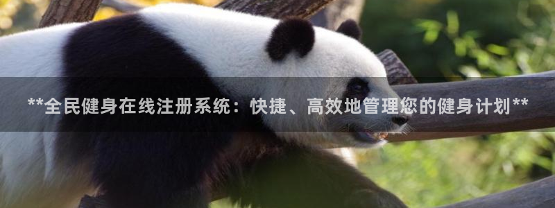 尊龙网站下分慢：**全民健身在线注册系统：快捷、高效地管