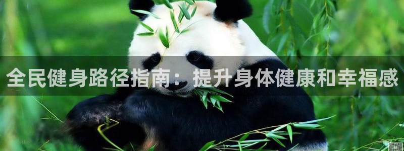 尊龙下载推荐网站：全民健身路径指南：提升身体健康和幸福感
