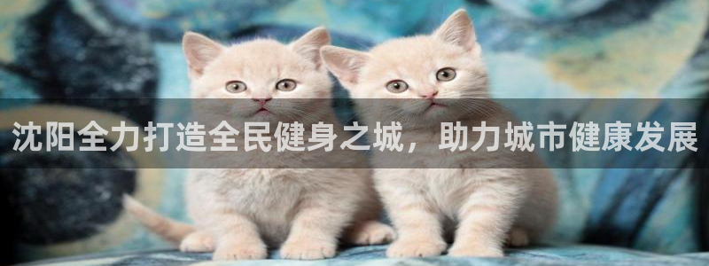 尊龙凯时美金能提取吗：沈阳全力打造全民健身之城，助力城市