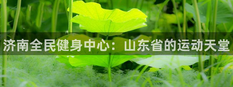 尊龙人生就是博旧版现金娱乐一下：济南全民健身中心：山东省