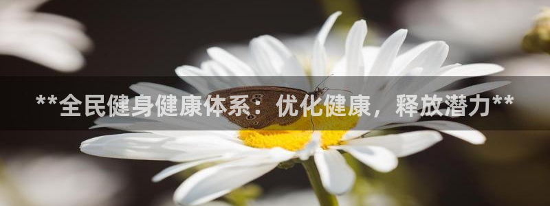 尊龙凯时赢不了：**全民健身健康体系：优化健康，释放潜力**