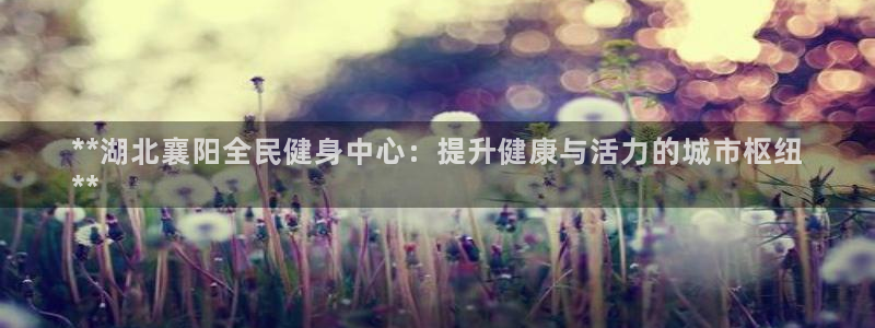 尊龙app认可ag发财网：**湖北襄阳全民健身中心：提升