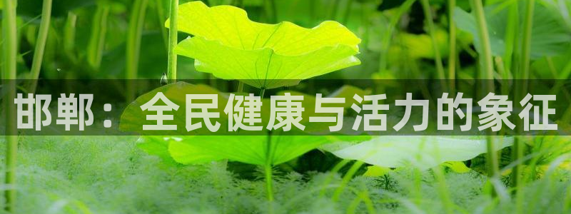 尊龙凯时的生产设备