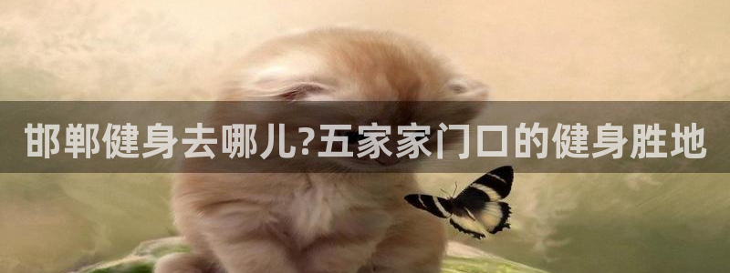 尊龙现在
