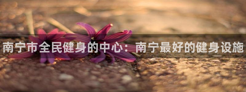 凯时AG网：南宁市全民健身的中心：南宁最好的健身设施