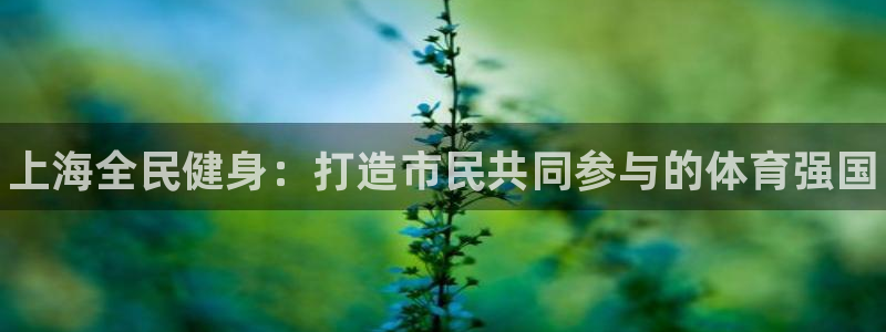 凯时官网联系方式